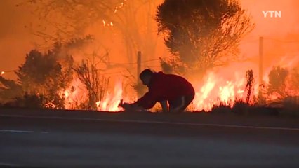 [영상] 산불 속으로 한 청년이 뛰어들어간 이유 / YTN