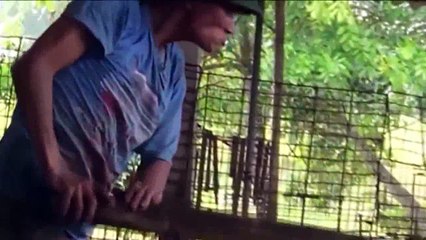 TỘI NGHIỆP  QUÁ   XIN HÃY ĂN CHAY  VÀ ĐỪNG SÁT SANH NỮA  NAM MÔ A DI ĐÀ PHẬT
