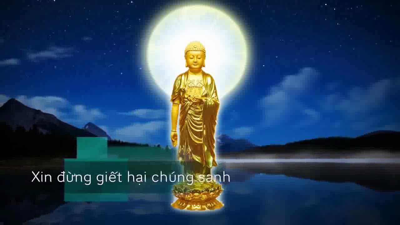XIN HÃY ĂN CHAY  VÌ LÒNG TỪ BI  VÀ THƯƠNG XÓT LOÀI VẬT,   NAM MÔ A DI ĐÀ PHẬT