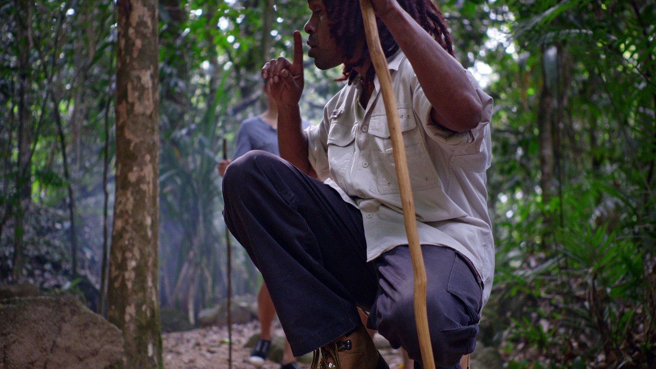 Travel to Uluru with Local Uluru Tours