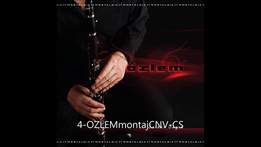 Serdar Say&amp;n Acem K&amp;z&amp; Dailymotion Video