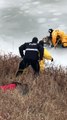 Un chien pris au piège dans la glace, sauvé par les pompiers