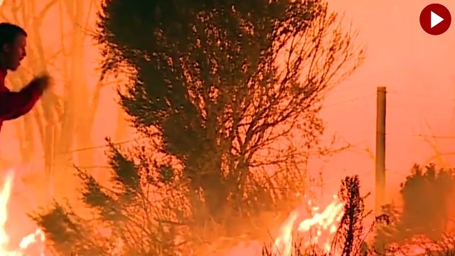 Alevlerin arasında kalan tavşanı kurtardı