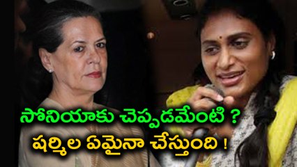 YS Jaganmohan Reddy Talks About Sonia Gandhi | Oneindia Telugu