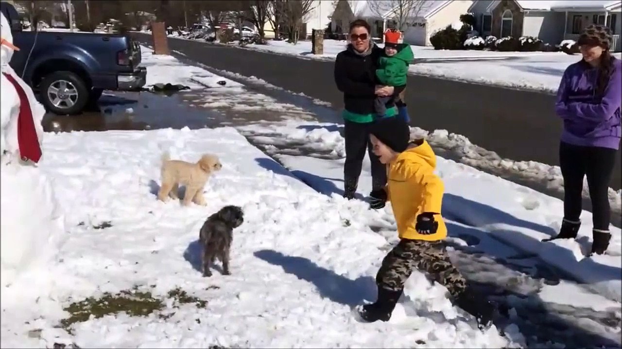 Quand papa est un gros bourrin et qu'il met KO son propre fils