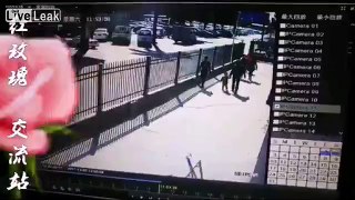 Fence Crushes a Woman After a Car Crash Into it