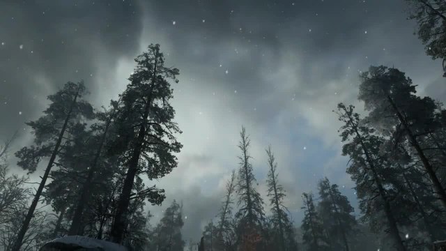 Call of Duty: WWII | Winter Siege Trailer | PS4