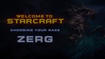Welcome To StarCraft: Choosing Your Race (Zerg)