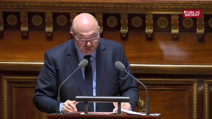 « Une vision d’un certain nombre d’entre vous c’est noir c’est noir, il n’y a plus d’espoir » lance le ministre de l’Agriculture pour répondre aux critiques des sénateurs sur son budget