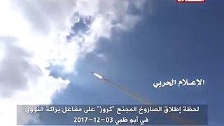 Launch of Cruise Missile by Houthis in Yemen on Barakah Nuclear Power Plant in UAE