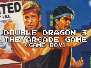 Review 554 - Double Dragon 3: The Arcade Game (GB)
