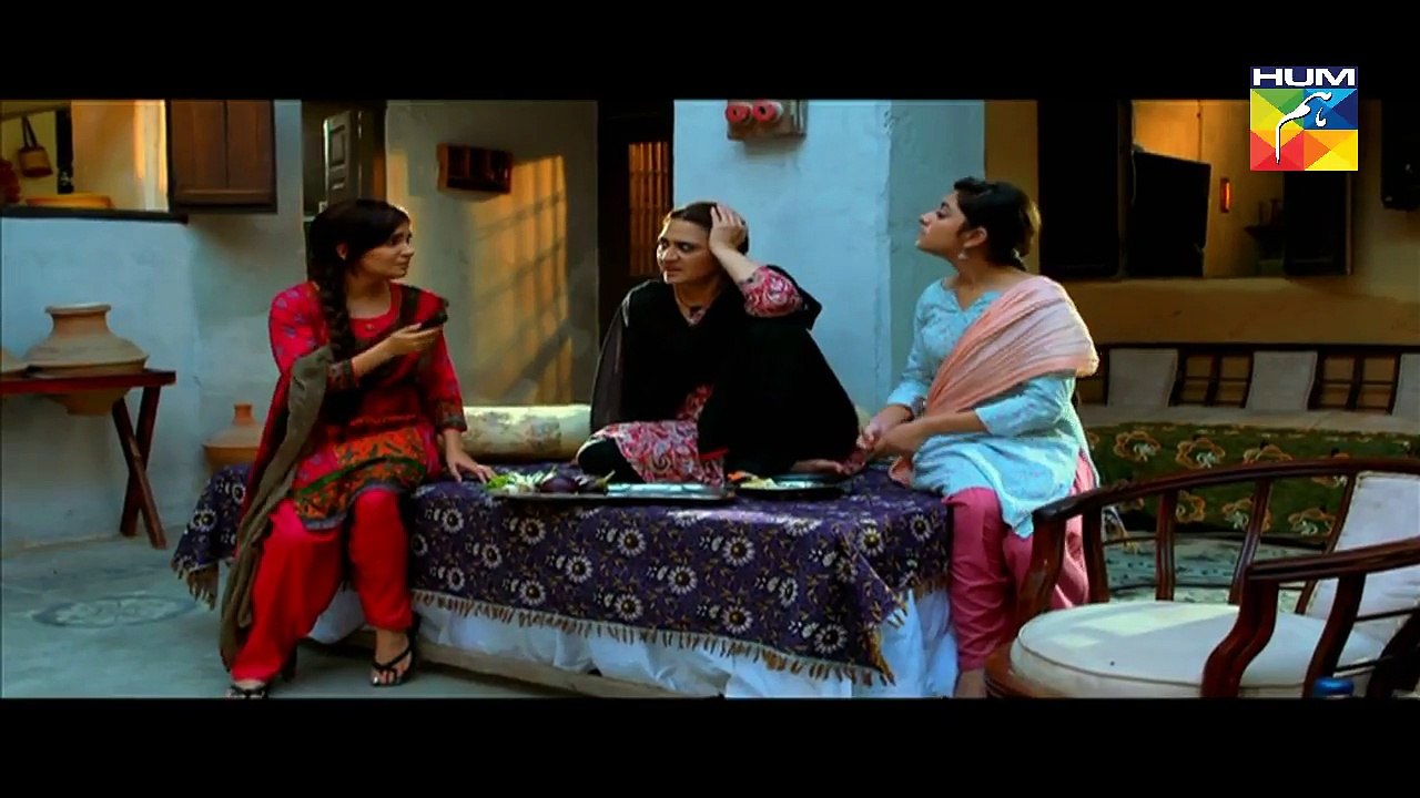 Daldal Episode 17 - 7 December 2017 HUMTV Drama