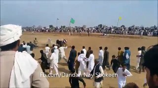 Must watch - Accident In Bull Race