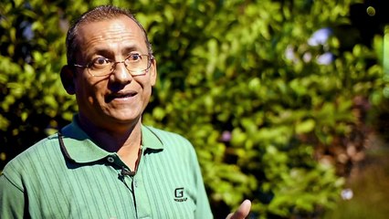 Ojos de halcón: el cazatalentos del fútbol colombiano