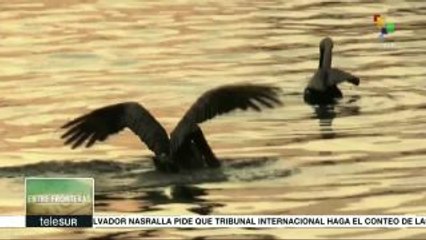 Entre Fronteras: Colombia: Enfrentamiento armado desangró al país