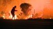 Cet homme sauve un lapin des flammes en Californie au péril de sa vie dans les Incendies !