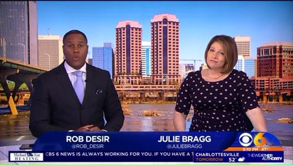 Meet Griswold: Dog With Lymphoma Looking for One Last Christmas With New Family