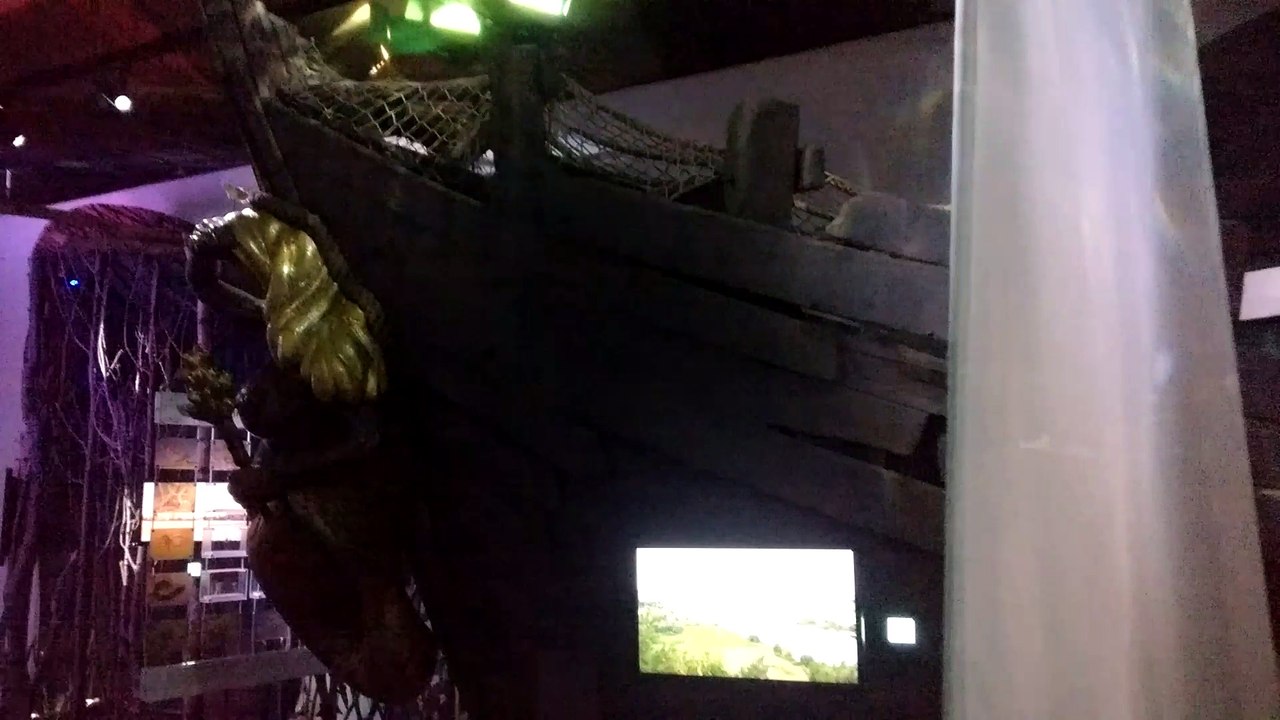 Jagd- und Fischereimuseum München (Unterwasserwelt)