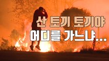 [자막뉴스] 초대형 산불 속에서 청년이 구한 생명 / YTN