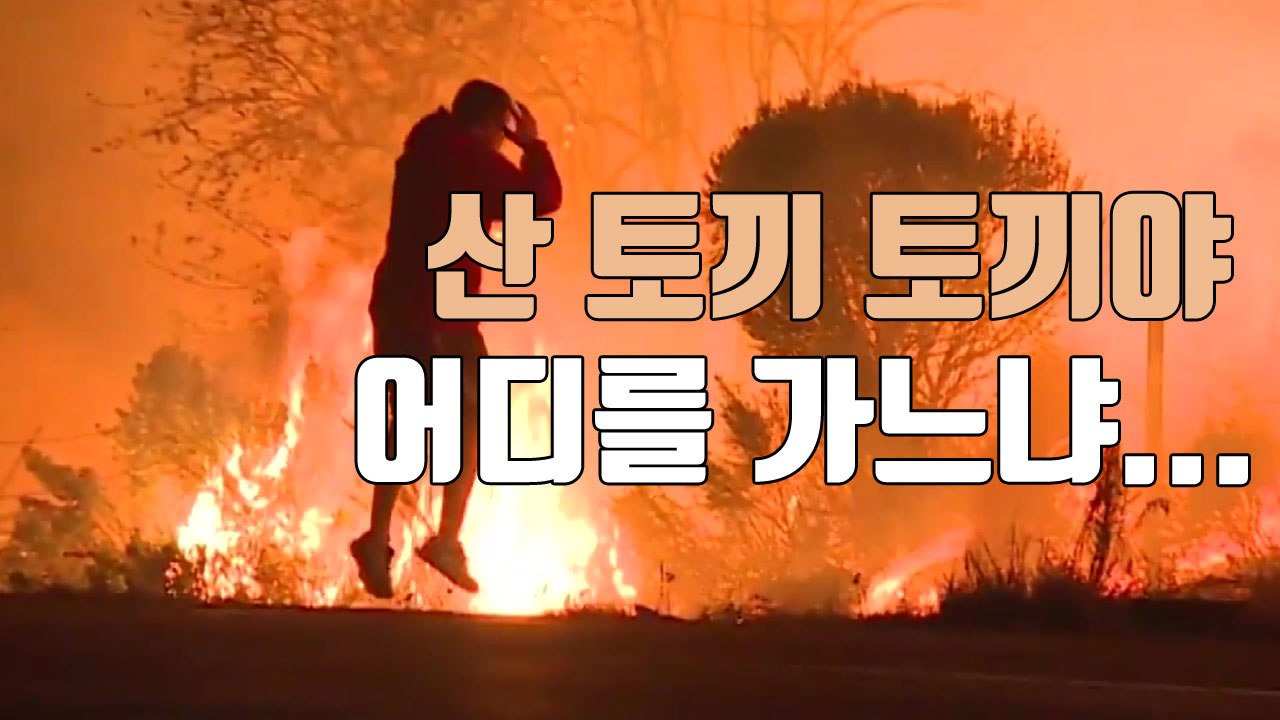 [자막뉴스] 초대형 산불 속에서 청년이 구한 생명 / YTN