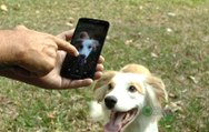 Saiba como tirar boas fotos com o smartphone