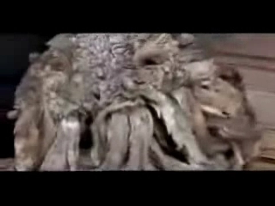 حالة نادرة جدا في الهند