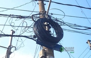 "Gatonet" seria a 3ª maior operadora no Brasil