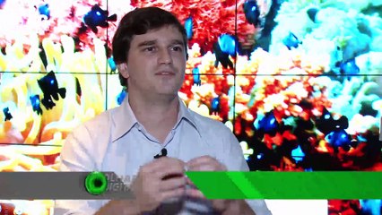 As novidades do Olhar Digital em 2013