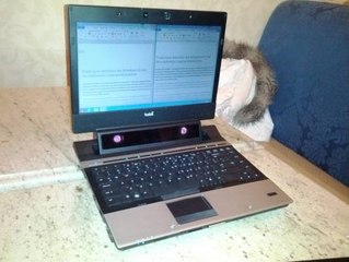 Saiba como limpar seu notebook