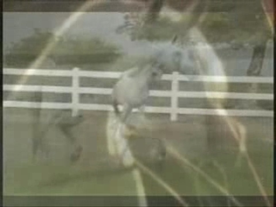 Cheval
