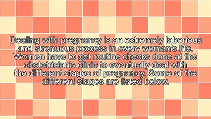 Different Stages of Consultation at the Obstetrician's Clinic During Pregnancy