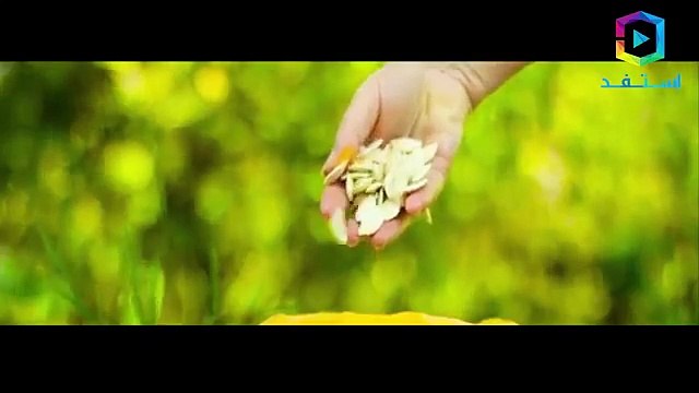 هل تعلم هذا هو علاج البروستاتا و ضعف الإنتصاب بهذه البذور..