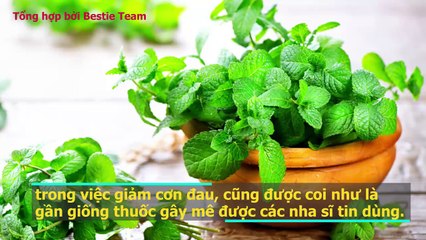 Những cách "cầm chân" cơn đau răng khôn hiệu quả tại nhà