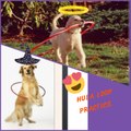 Dog Tricks -My dog loves Hula Hoop