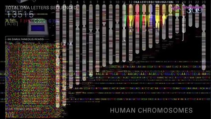 Difference Between Conventional Medicine vs Functional Medicine
