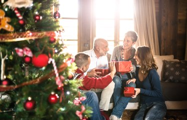 Comment choisir le meilleur sapin de Noël