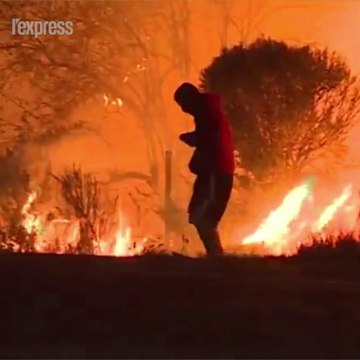 Incendies en Californie: un homme sauve un lapin du brasier