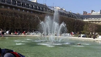 Palais-Royal 2012