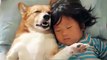 Quoi de plus adorable qu'un enfant et un chien qui font la sieste ensemble... Sommeil profond