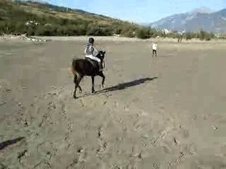 Nounours et moi au lac