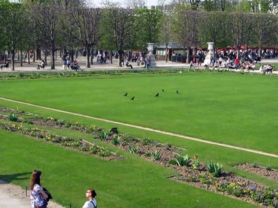 Tuileries-Jardin 2012 (1)