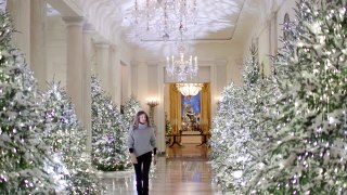 2017 Christmas Decorations at the White House