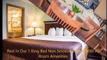 Quality Inn & Suites Tampa - Brandon Near Casino
