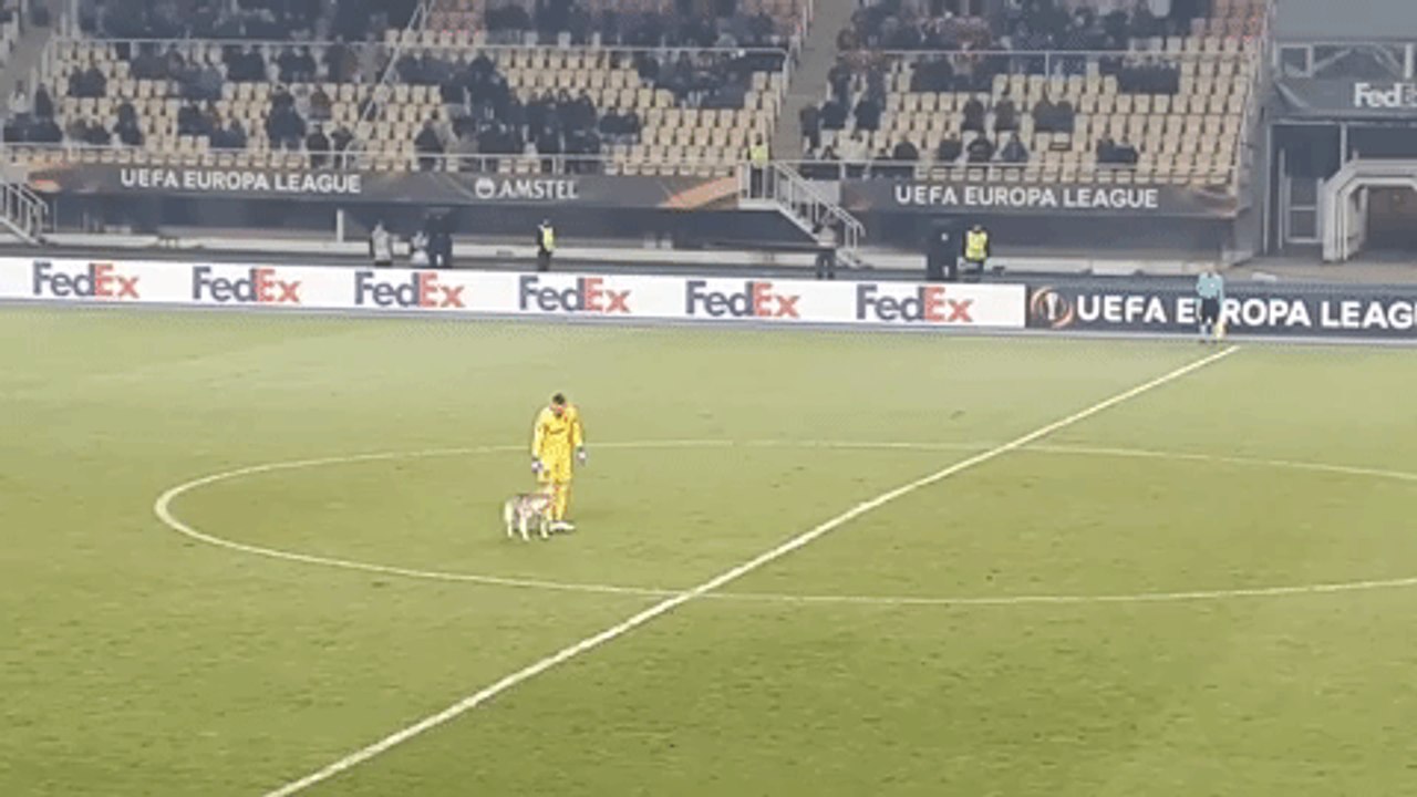 Dog Gets 'Sent Off' After Invading Pitch at European Soccer Clash