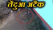 Leopard attack on villagers in Bahraich area बहराइच में गांव वालों पर तेंदुए ने किया हमला, देखिए VIDEO