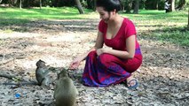 Monkey Meeting and Playing with Beautiful Girls near Bayon Temple