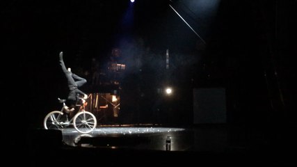 Dans les coulisses du Cirque Farouche Zanzibar