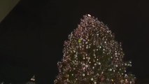 바티칸 성베드로 광장, 대형 성탄 트리 점등 / YTN