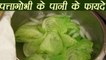 Cabbage Water: Health Benefits | पत्तागोभी के पानी के फायदे | Boldsky