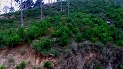 Andy Ka Pakistan, A Must Watch Video on Billion Tree Tsunami
